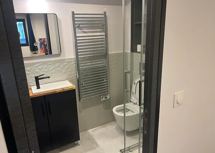 Loft Entier Nancy Centre Et Parking